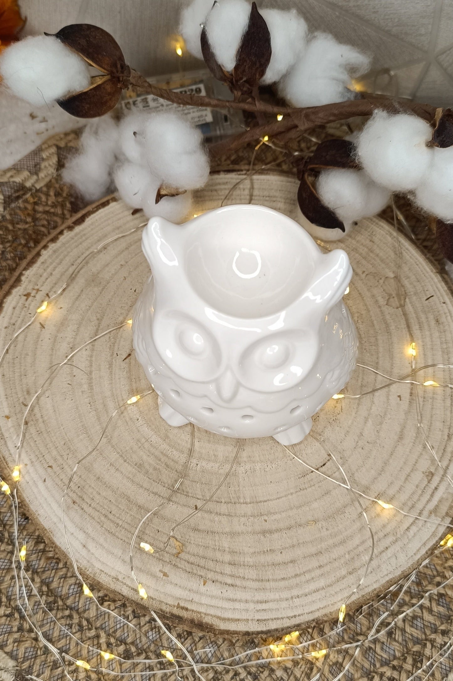 Brûleur Hibou