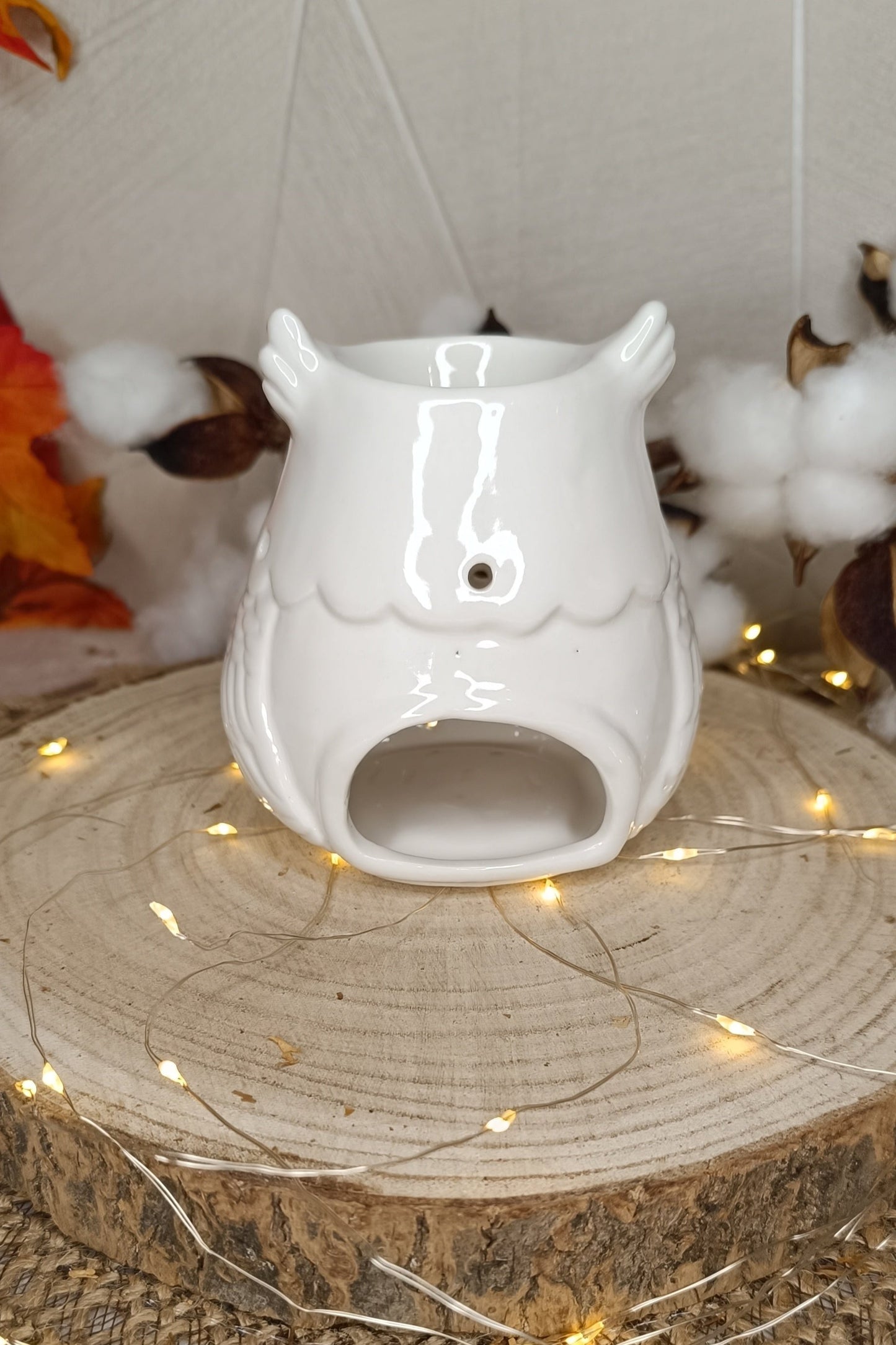 Brûleur Hibou
